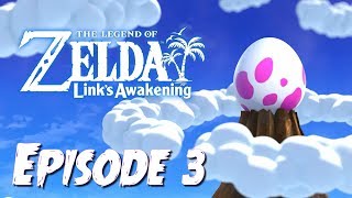 Les 5 feuilles dor et le Souterrain aux Clés  Zelda Links Awakening 3 [upl. by Iz]