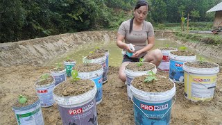 How To Bring water to the pond  Plant flowers on painted pots  Green farm life free bushcraft [upl. by Elyse406]