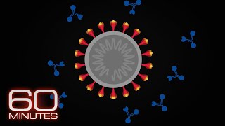 How do coronavirus variants form and will the current vaccines work against them [upl. by Mori]