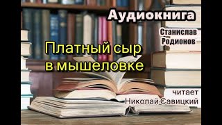 Аудиокнига полностью Платный сыр в мышеловке Детектив [upl. by Roma]