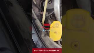 Где вин у Renault Scenic 2 поколения renault Scenic vin винкод гдевин [upl. by Batty455]