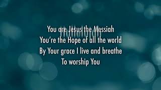 Darlene Zschech  Victors Crown Official Lyric Video [upl. by Lucien]