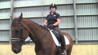 Fiber Fresh Feeds Equine TV EP 31  Avoiding your horse pulling the reins out of your hands [upl. by Emanuele]