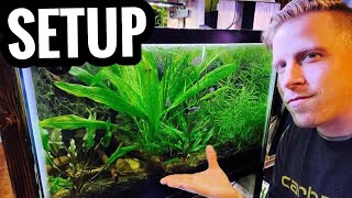 How to Set Up a Planted Aquarium  Live Plants for Beginners [upl. by Lala955]