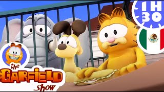 🐘 ¡Garfield descubre los animales 🦁 El Show de Garfield  ¡Dibujos Animados [upl. by Tnairb622]