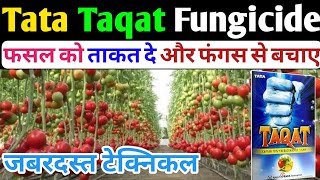 Tata Taqat Fungicide । Taqat Fungicide । Captan 70Hexaconazole 5WP । सस्ता और टिकाऊ फंगीसाइड [upl. by Estus888]