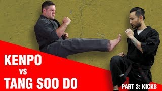 Tang Soo do vs Kenpo KICKS  ART OF ONE DOJO [upl. by Oconnor189]