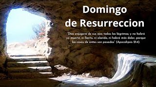 31032024 Celebracion de Pascua de Resurreccion en vivo 930 hs [upl. by Middlesworth101]