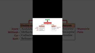 Cholinergic Agonists Mnemonics [upl. by Robert573]