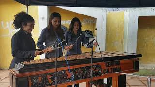 Marimba femenina de Malacatancito Huehuetenango [upl. by Inafets]