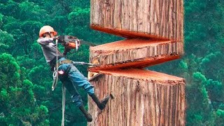 40 Minutes Of Satisfying Videos Of Workers Doing Their Job Perfectly  Best Moments [upl. by Nylaj]