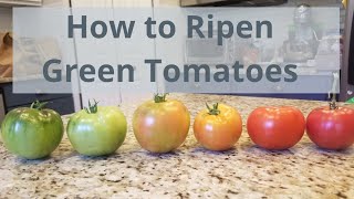 How to Ripen Green Tomatoes Indoors [upl. by Juback69]