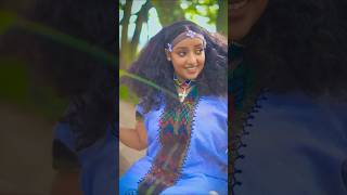 አጠገቤ ሽጉጥ በልልኝ  የወሎ ልጅ ቤተ አምሐራ  Amharic cultural music [upl. by Allenrad439]