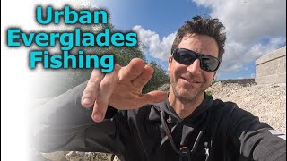 Urban Everglades Fishing  Side of the road [upl. by Ridgley]