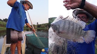 CONFERINDO O PESO DOS PEIXES DOS POÇOS E TANQUEREDE [upl. by Claude]