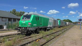 RheintalUmleiter 001 mit DIESELPOWER 2024 in Lauterbourg [upl. by Rosemare467]