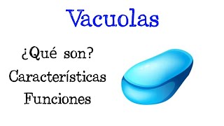 🌐 ¿Qué son las Vacuolas 💥 Funciones Fácil y Rápido  BIOLOGÍA [upl. by Aivon]