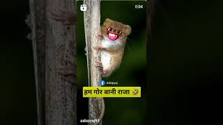 🤪हम गोरे बानी राजा😜 video comedy [upl. by Nilesoy]