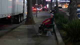 Homeless Nonstop on Sunset Blvd Los Angeles California USA October 5 2024 Disgusting Filthy [upl. by Juliana]