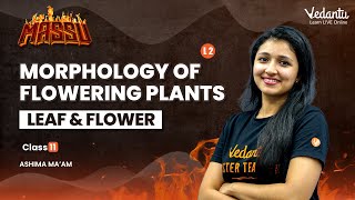 Morphology of flowering plants  L2  Root stem Leaf  Class 11 Biology Ashima Mam  Vedantu [upl. by Llewop948]