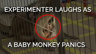 This baby monkeys panicked screams were met with an experimenter’s heartless laughter 😡 [upl. by Tabshey]