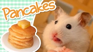 🥞 Pancakes  HAMSTER KITCHEN 🥞 [upl. by Aernda]