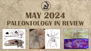 May 2024 Paleontology in Review [upl. by Bernardine]