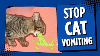 What Can You Give A Cat to Stop Vomiting [upl. by Grieve976]