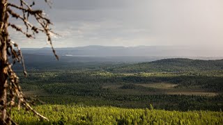 Storforsen Gallejaur Svartliden Knösarna  Naturreservat i Västerbotten amp Norrbotten [upl. by Pitts289]