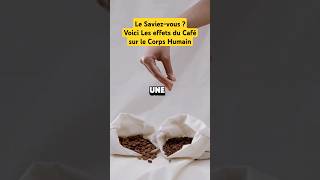 Les effets du Café sur le Corps Humain santé health lifestyle food goodfood education wow [upl. by Anaile]