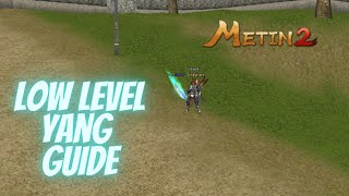 Metin2 How to make yang Low level guide level 161 Teutonia [upl. by Bazar]