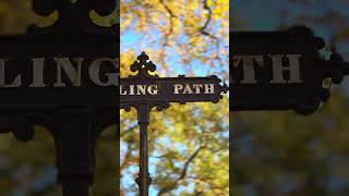 Autumn Walk on GreenWood Cemetery in Brooklyn New York City [upl. by Erdnassac349]