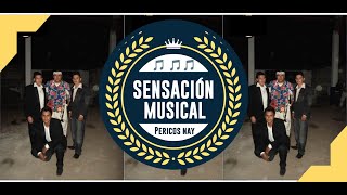 SENSACIÓN MUSICAL  LA VAQUITA [upl. by Namlak]