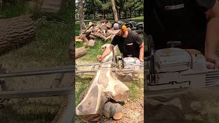 The Black Walnut SapwoodHeartwood Combo and Crotch Figure is STUNNING Chainsaw Milling viral [upl. by Ynffit]