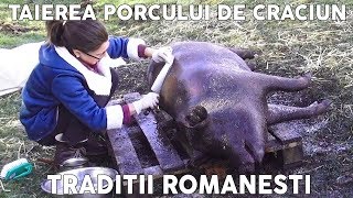 Taierea si Transarea Porcului de Craciun  Traditii Romanesti de Ignat Eng Sub [upl. by Aenahs]