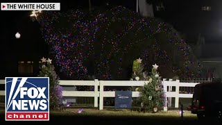 White House Christmas tree takes a tumble [upl. by Keily]