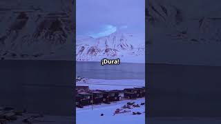 quotLongyearbyen Naturaleza Historia y Cultura en el Árticoquot [upl. by Jenelle120]