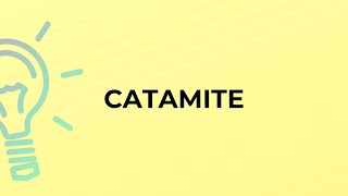 What is the meaning of the word CATAMITE [upl. by Eiryk]