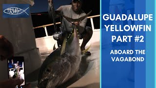 Guadalupe Tuna Part 2Vagabond Sportfishing [upl. by Trow690]