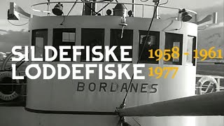 Sildefiske 1958 og 1961 Loddefiske 1977 Norglobal i Båtsfjord [upl. by Jobie]