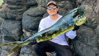 12 kg mahi mahi from rock shore bukit asah bali [upl. by Tatiania]