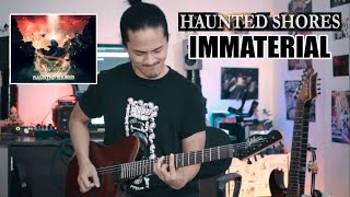 Haunted Shores  Immaterial  GUITAR COVER [upl. by Nalyac]