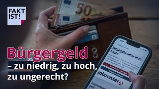 Bürgergeld – zu niedrig zu hoch zu ungerecht  Fakt ist  MDR [upl. by Thury]