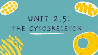 Unit 25 The Cytoskeleton [upl. by Romain]