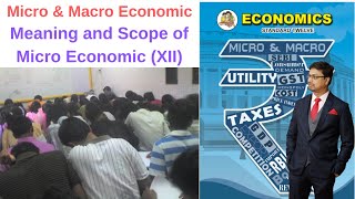 Introduction of Micro amp Macro Economics Meaning amp Scope of Micro Economics12th class XII  HSC [upl. by Jonina]