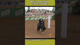 ORGULLO DEL TRÉBOLLAS FLORES ASDESILLA 2023 caballos horse shortsvideo trote [upl. by Thomey]