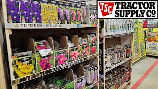 Tractor Supply Inventory February 2023 Summer Bulbs Bare Root Perennial Flowers Shrubs Fruit Trees [upl. by Ferrick]