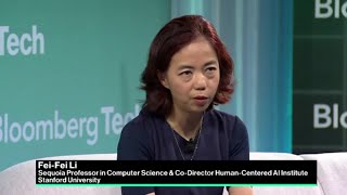 Top Researcher Li on the Promises and Perils of AI [upl. by Zarihs]