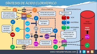 SÍNTESIS DE ÁCIDO CLORHÍDRICO HCL [upl. by Roselane907]