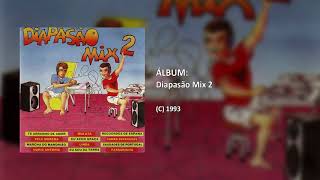 Diapasão Mix 2  Mix Pele Morena Faixa 12 [upl. by Joela96]